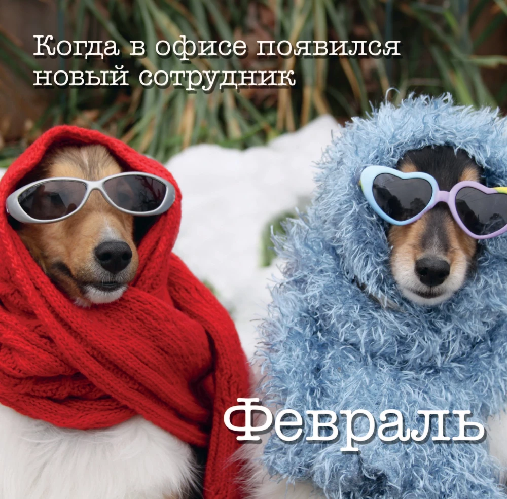 Календарь настенный на 2025 год. Офисные мемы